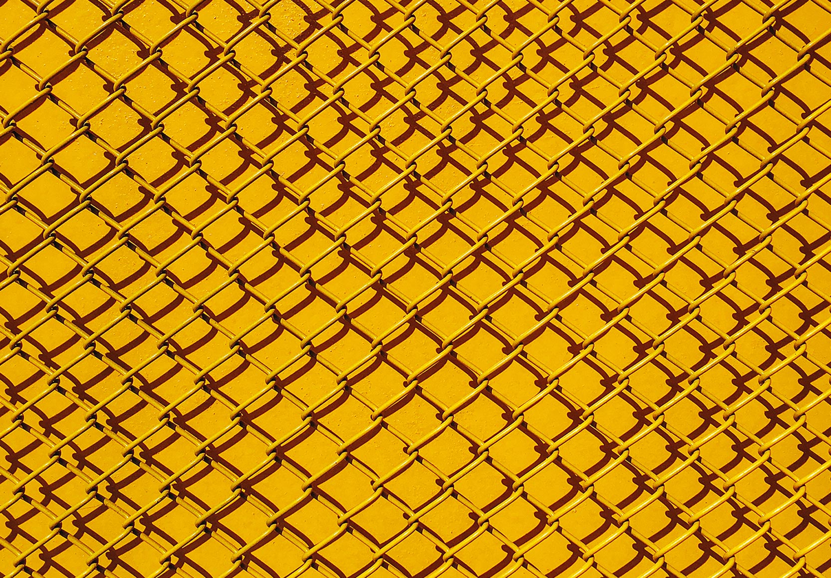 Yellow Fence Graphic